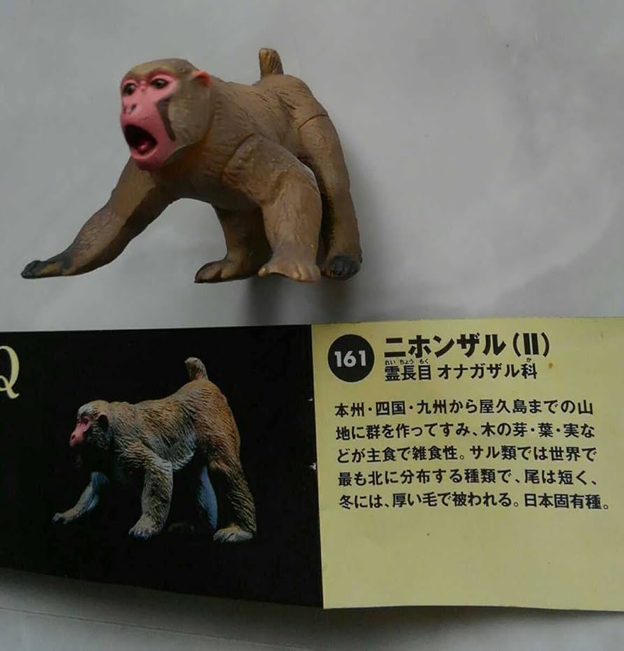 海洋堂 サル 楽天市場】日本の動物コレクションI 東北/北限のサル 海洋堂